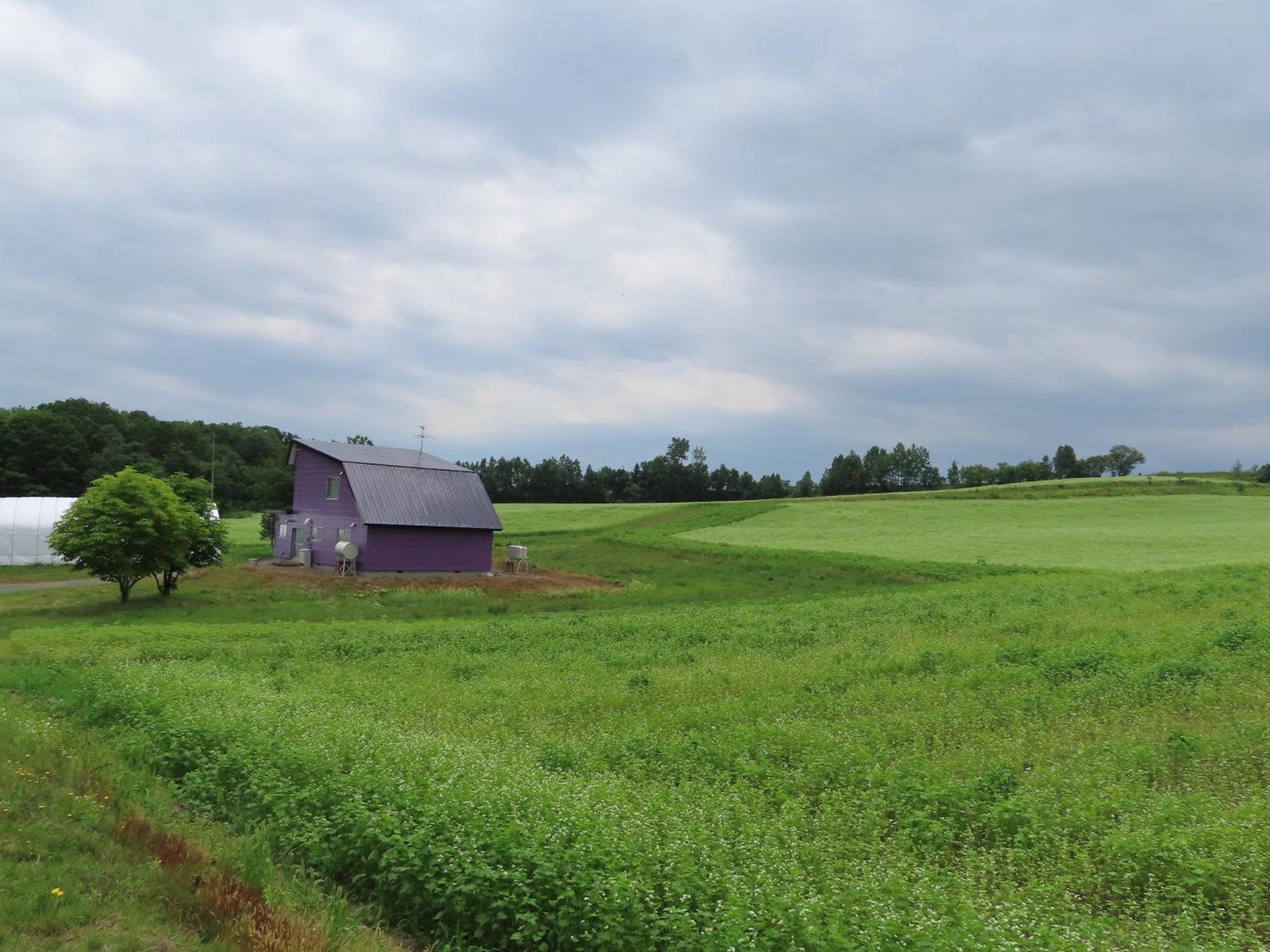 Cottage Clover Biei Bagian luar foto